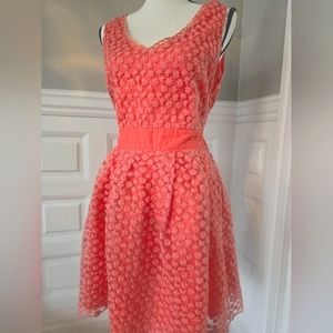 Nick and mo size large dress